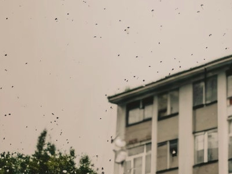 帥氣君與平凡君